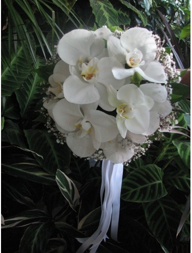 Orkidelerden  Tanzim Edilmiş Gelin El Buketi